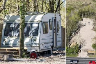 Surrey Town Hit by Illegal Traveller Encampment in Woodland
