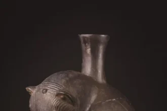 First Evidence of Peruvian Hairless Dogs Unearthed at Wari Empire Site