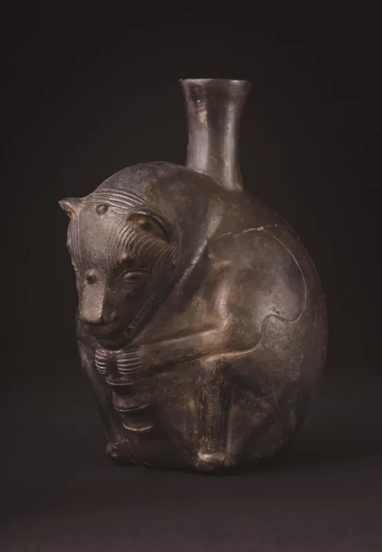 First Evidence of Peruvian Hairless Dogs Unearthed at Wari Empire Site