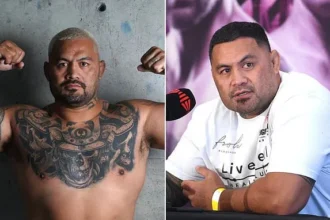 UFC Star Mark Hunt Charged with Intimidation in Domestic Case