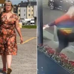 Crayfish Dies of Loneliness After Activist Throws Tankmate into Sea