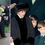 Prince Edward Comforts Diana at 1994 Christmas Walkabout Post-Charles Split