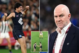 Carlton CEO Addresses Hollands’ Erratic Behavior and Drinking Rumors