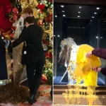 8 Activists Charged for Crown Jewels Dessert Attack and Ritz Manure Dump