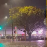 Wellington Orders Mass Evacuations After Record Rainfall
