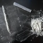 Cocaine Pollution Drives Salmon to Swim Farther and Disperse Widely