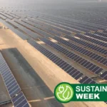 Renewables Surpass Coal as Top Global Electricity Source