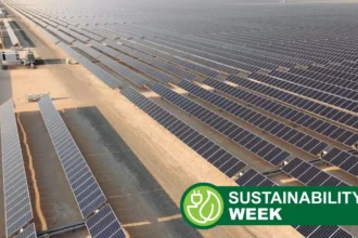 Renewables Surpass Coal as Top Global Electricity Source