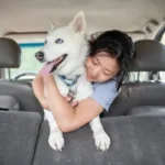 Top 10 Healthiest Dog Breeds to Cut Vet Bills Significantly