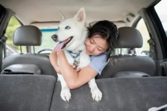 Top 10 Healthiest Dog Breeds to Cut Vet Bills Significantly