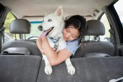 Top 10 Healthiest Dog Breeds to Cut Vet Bills Significantly