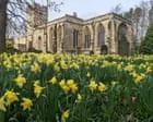 Quiet Vitality Thrives in Rebuilt Churchyard Wildlife Haven