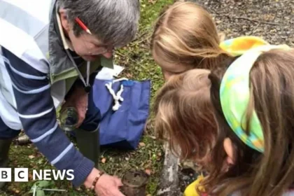 Manx Wildlife Week: Full Event Schedule and Participation Guide