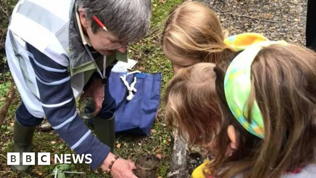 Manx Wildlife Week: Full Event Schedule and Participation Guide