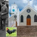 Bermuda Preps for King Charles Visit: Chickens Culled, Diana Photo Removed