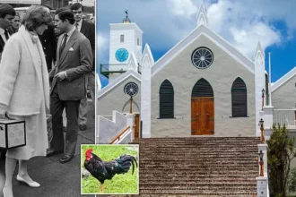 Bermuda Preps for King Charles Visit: Chickens Culled, Diana Photo Removed