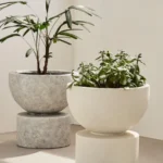 Canada’s Top Aesthetic Planters for Indoor and Outdoor Use