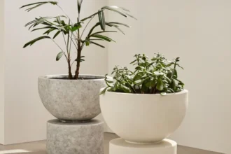Canada’s Top Aesthetic Planters for Indoor and Outdoor Use
