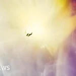 Student Pioneers Cosmic Ray Photography from Stratosphere