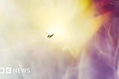 Student Pioneers Cosmic Ray Photography from Stratosphere