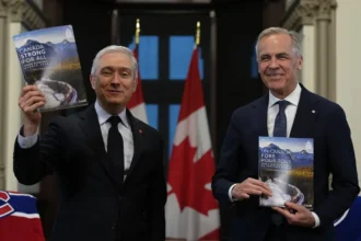 Disability Tax Credit Reforms Welcomed by Opposition, Advocates