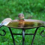 Clean Birdbath Algae Naturally with Vinegar: Safe for Birds