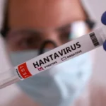 Hantavirus Outbreak on Cruise Ship: 3 Dead, 5 Cases Confirmed