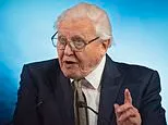 Sir David Attenborough Overwhelmed by 100th Birthday Greetings