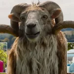 Sheep Detectives Review: Talking Sheep Solve Whodunit Mystery