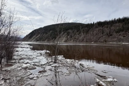 Flood Watches Issued for Yukon River in Dawson City and Carmacks