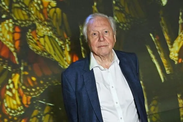 Sir David Attenborough’s Cherished Richmond Haven: Favorite Place on Earth