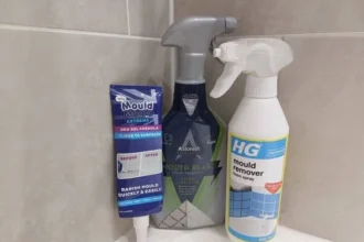 Best Grout Mould Remover: HG Tops Astonish and Mould Magic
