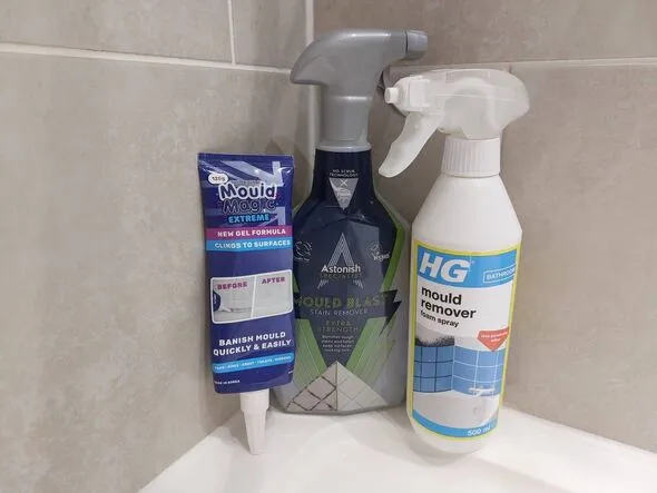 Best Grout Mould Remover: HG Tops Astonish and Mould Magic