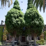Victoria Barracks Redevelopment: Parks, Schools, Housing Planned