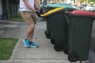 Neighbour Leaves Bin Out on Street: Council Rules and Fixes