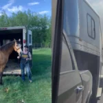 Saskatchewan Families Brace for Wildfire Amid Evacuation Alerts