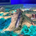 Wildlife Park Unveils Interactive Volcano for Conservation Education