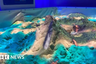 Wildlife Park Unveils Interactive Volcano for Conservation Education