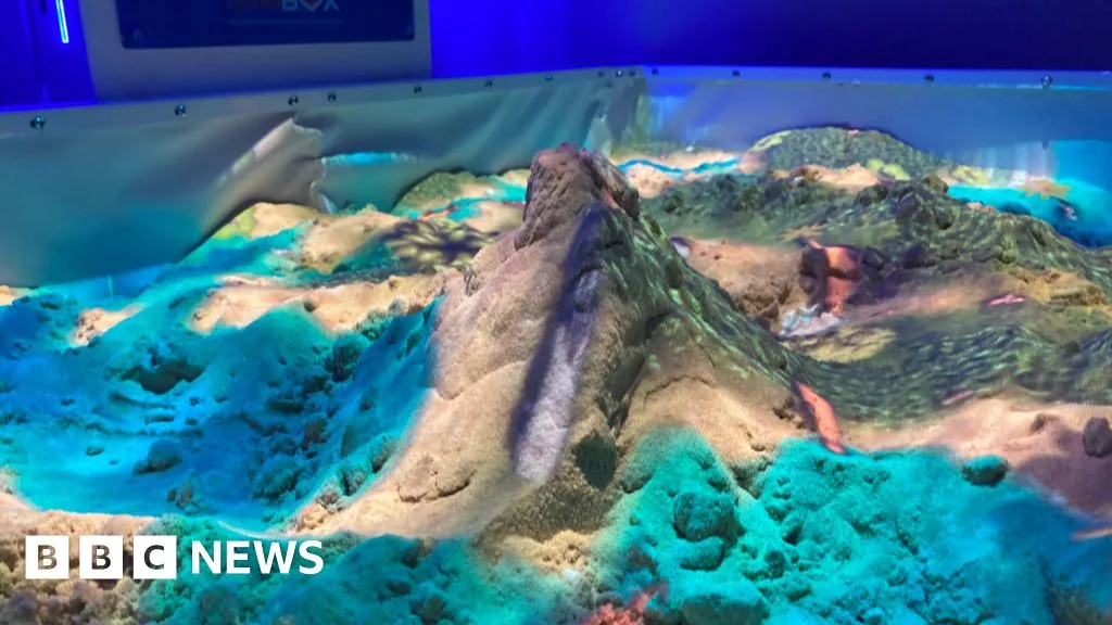 Wildlife Park Unveils Interactive Volcano for Conservation Education