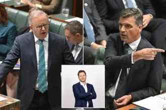 Coalition Urges Early Election Over Labor Tax Changes
