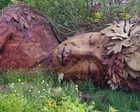 Edgelands Garden Wins Top Honors at Chelsea Flower Show