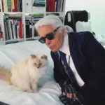 Lagerfeld’s Cat Inherits Nothing Despite Millions Promised