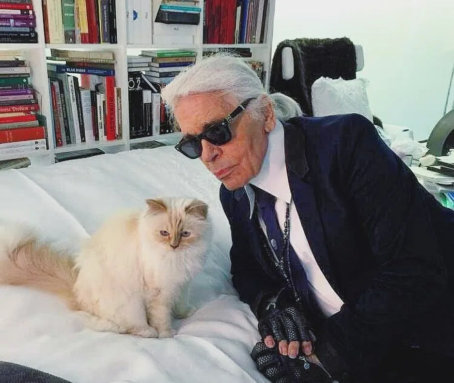 Lagerfeld’s Cat Inherits Nothing Despite Millions Promised