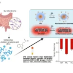 New Nanosensor Detects Gut Health Biomarker in Minutes