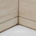 Banish Bathroom Mould: Simple 4-Ingredient Cleaning Paste
