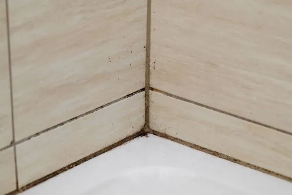 Banish Bathroom Mould: Simple 4-Ingredient Cleaning Paste
