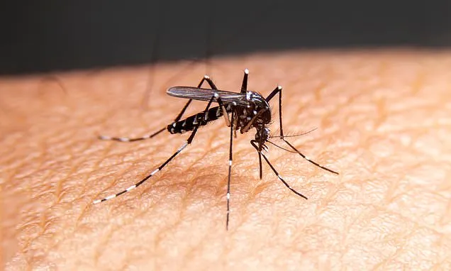 Millions of Mosquitoes: Tech Giant’s Plan Sparks Public Health Fears