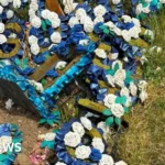 Ecologist Urges Plastic Ban in Kingston Cemetery