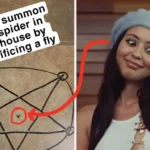 Hilarious and Unexpected Sights Shared Online