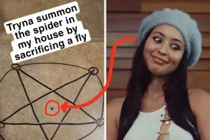 Hilarious and Unexpected Sights Shared Online